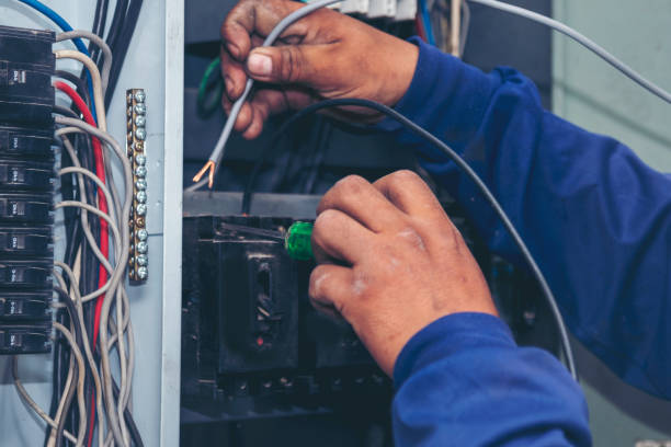 Best Local Electrician Companies  in San Elizario, TX